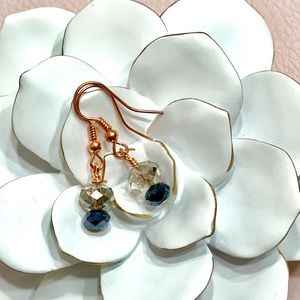 “BLACK SWAN” Hematite Crystal Copper Earrings